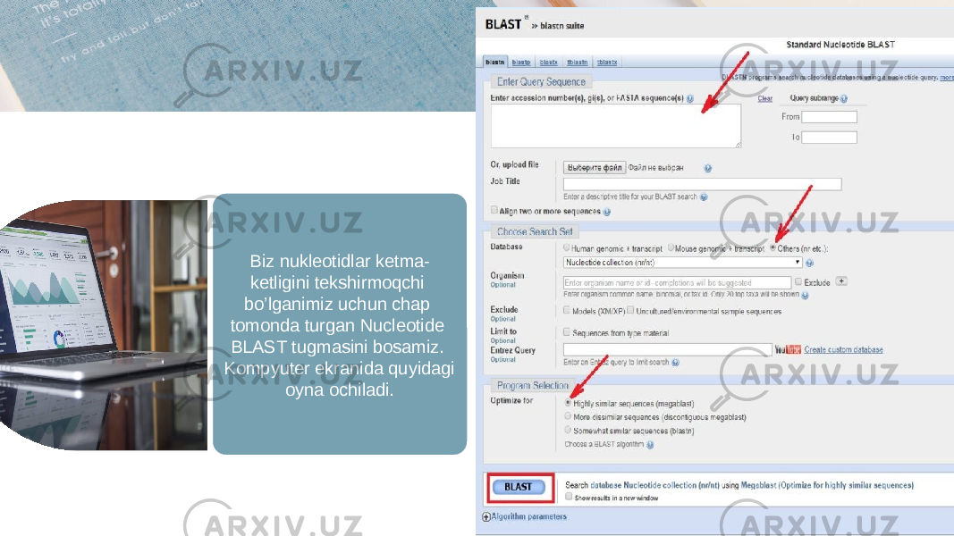 Biz nukleotidlar ketma- ketligini tekshirmoqchi bo’lganimiz uchun chap tomonda turgan Nucleotide BLAST tugmasini bosamiz. Kompyuter ekranida quyidagi oyna ochiladi.1A1222040A05 13030E1512 25 0E 1A1B1C1D01 30 0D 