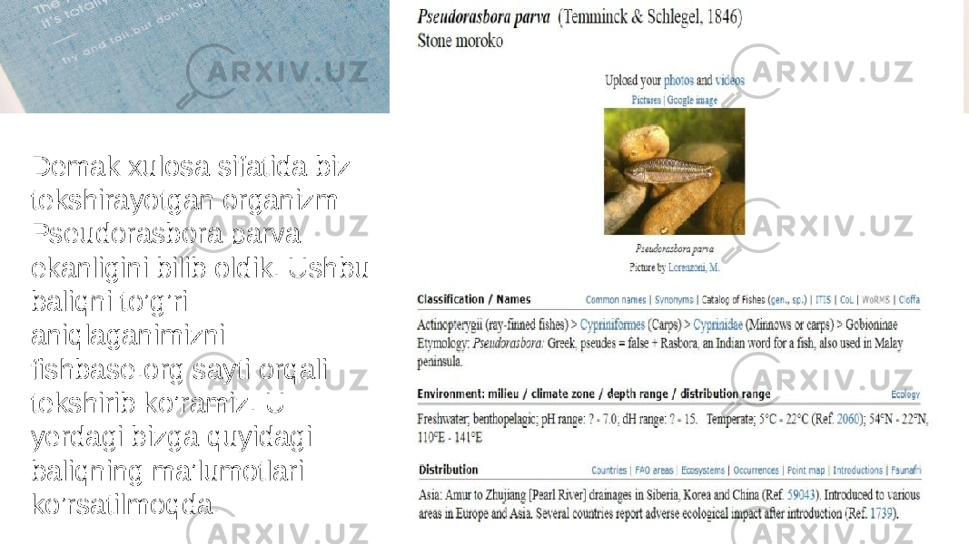 Demak xulosa sifatida biz tekshirayotgan organizm Pseudorasbora parva ekanligini bilib oldik. Ushbu baliqni to’g’ri aniqlaganimizni fishbase.org sayti orqali tekshirib ko’ramiz. U yerdagi bizga quyidagi baliqning ma’lumotlari ko’rsatilmoqda. 