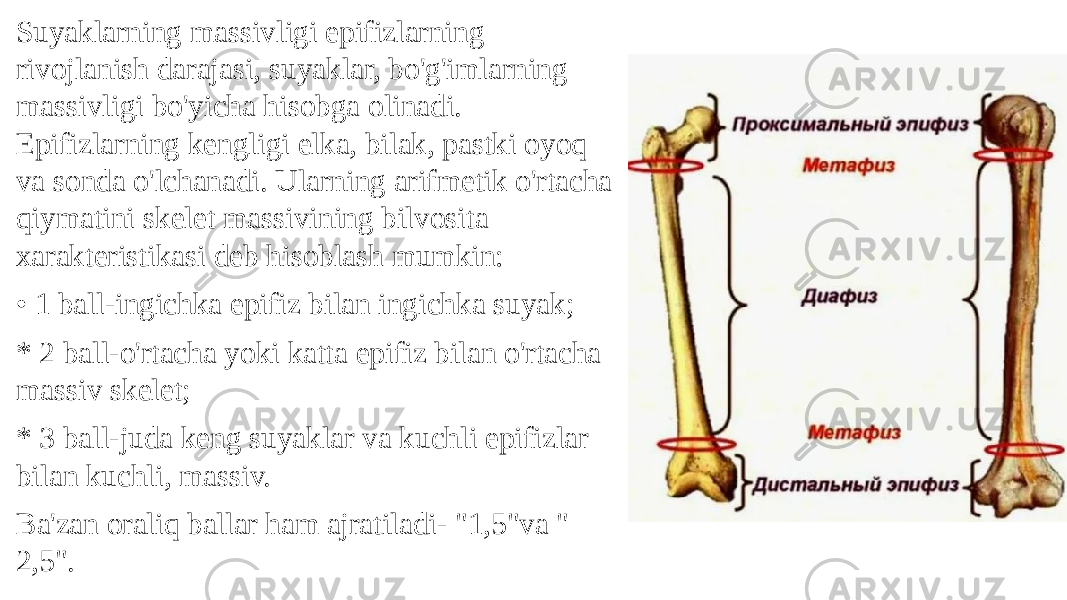 Suyaklarning massivligi epifizlarning rivojlanish darajasi, suyaklar, bo&#39;g&#39;imlarning massivligi bo&#39;yicha hisobga olinadi. Epifizlarning kengligi elka, bilak, pastki oyoq va sonda o&#39;lchanadi. Ularning arifmetik o&#39;rtacha qiymatini skelet massivining bilvosita xarakteristikasi deb hisoblash mumkin: • 1 ball-ingichka epifiz bilan ingichka suyak; * 2 ball-o&#39;rtacha yoki katta epifiz bilan o&#39;rtacha massiv skelet; * 3 ball-juda keng suyaklar va kuchli epifizlar bilan kuchli, massiv. Ba&#39;zan oraliq ballar ham ajratiladi- &#34;1,5&#34;va &#34; 2,5&#34;. 