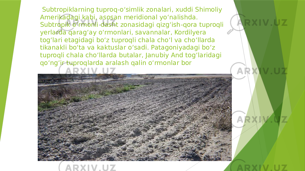  Subtropiklarning tuproq-oʻsimlik zonalari, xuddi Shimoliy Amerikadagi kabi, asosan meridional yoʻnalishda. Subtropik oʻrmonli dasht zonasidagi qizgʻish-qora tuproqli yerlarda qaragʻay oʻrmonlari, savannalar, Kordilyera togʻlari etagidagi boʻz tuproqli chala choʻl va choʻllarda tikanakli boʻta va kaktuslar oʻsadi. Patagoniyadagi boʻz tuproqli chala choʻllarda butalar, Janubiy And togʻlaridagi qoʻngʻir tuproqlarda aralash qalin oʻrmonlar bor 