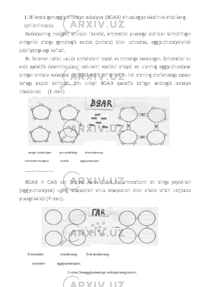 1. Bilvosita gemagglyutinatsiya reaksiyasi (BGAR) virusologiya tekshiruvlarida keng qo’llanilmoqda. Reaksiyaning mohiyati shundan iboratki, eritrotsitlar yuzasiga oldindan shimdirilgan antigenlar o’ziga gomologik zardob (antitelo) bilan uchrashsa, agglyutinatsiyalanish qobiliyatiga ega bo’ladi. Bu fenomen ushbu usulda antitelolarni topish va titrlashga asoslangan. Eritrotsitlar bu erda spetsifik determinantlarni tashuvchi vazifani o’taydi va ularning agglyutinatsiyasi antigen-antitelo reaksiyasi natijasida sodir bo’ladi va bu hol o’zining cho’kmasiga asosan ko’zga yaqqol ko’rinadi. Shu tufayli BGAR spetsifik bo’lgan serologik reaksiya hisoblanadi (1-rasm). BGAR ni GAR dan farqlash kerak. GAR da eritrotsitlarni bir biriga yopishishi (agglyutinatsiyasi) uning retseptorlari virus retseptorlari bilan o’zaro ta’siri natijasida yuzaga keladi (2-rasm). Antigen shimdirilgan qon zardobidagi Eritrotsitlarning eritrotsitlar (antigenli antitelo agglyutinatsiyasi eritrotsitar diagnostikum) Eritrotsitlar viruslarning Eritrotsitlarning virionlari agglyutinatsiyasi. 2-rasm.Gemagglyutinatsiya reaksiyasining tasviri. 