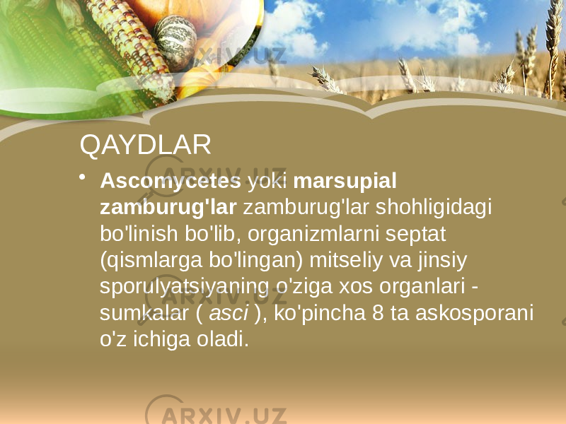 QAYDLAR • Ascomycetes yoki marsupial zamburug&#39;lar zamburug&#39;lar shohligidagi bo&#39;linish bo&#39;lib, organizmlarni septat (qismlarga bo&#39;lingan) mitseliy va jinsiy sporulyatsiyaning o&#39;ziga xos organlari - sumkalar ( asci ), ko&#39;pincha 8 ta askosporani o&#39;z ichiga oladi. 