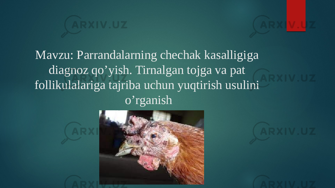 Mavzu: Parrandalarning chechak kasalligiga diagnoz qo’yish. Tirnalgan tojga va pat follikulalariga tajriba uchun yuqtirish usulini o’rganish 