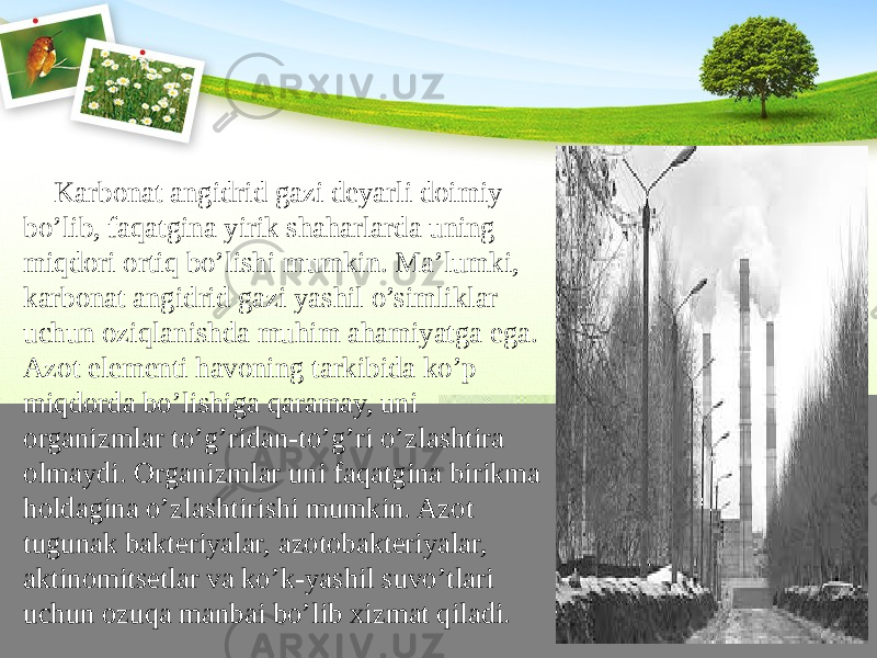  Karbonat angidrid gazi deyarli doimiy bo’lib, faqatgina yirik shaharlarda uning miqdori ortiq bo’lishi mumkin. Ma’lumki, karbonat angidrid gazi yashil o’simliklar uchun oziqlanishda muhim ahamiyatga ega. Azot elementi havoning tarkibida ko’p miqdorda bo’lishiga qaramay, uni organizmlar to’g’ridan-to’g’ri o’zlashtira olmaydi. Organizmlar uni faqatgina birikma holdagina o’zlashtirishi mumkin. Azot tugunak bakteriyalar, azotobakteriyalar, aktinomitsetlar va ko’k-yashil suvo’tlari uchun ozuqa manbai bo’lib xizmat qiladi. 