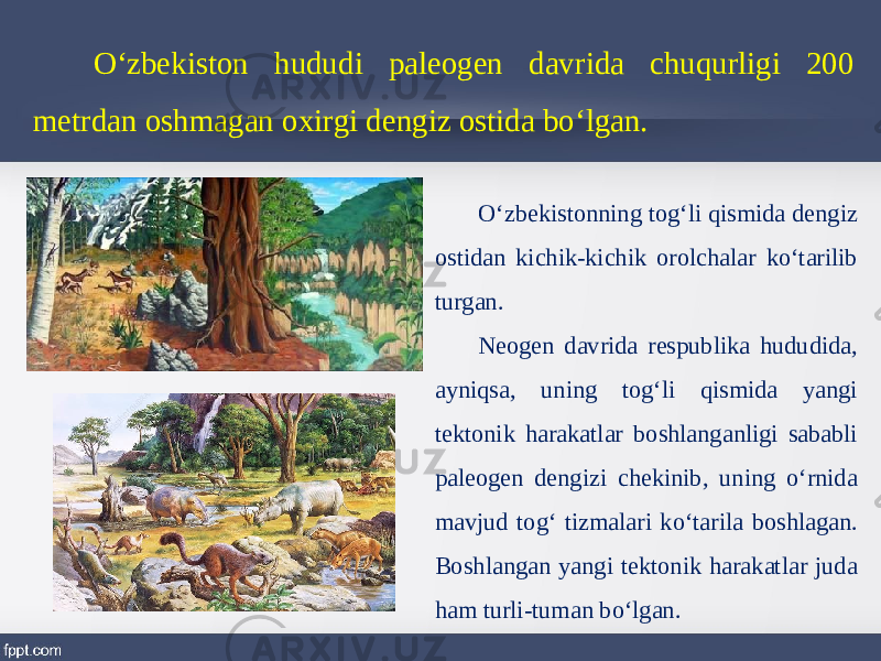 O‘zbekiston hududi paleogen davrida chuqurligi 200 metrdan oshmagan oxirgi dengiz ostida bo‘lgan. O‘zbekistonning tog‘li qismida dengiz ostidan kichik-kichik orolchalar ko‘tarilib turgan. Neogen davrida respublika hududida, ayniqsa, uning tog‘li qismida yangi tektonik harakatlar boshlanganligi sababli paleogen dengizi chekinib, uning o‘rnida mavjud tog‘ tizmalari ko‘tarila boshlagan. Boshlangan yangi tektonik harakatlar juda ham turli-tuman bo‘lgan. 