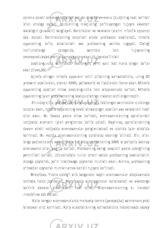 qarama-qarshi tomonga tarqalishi va ular orasida vereteno (duk) ning hosil bo’lishi bilan amalga oshadi. Qutblarning mavjudligi bo’linayotgan hujayra ekvatori tekisligini (yuzasini) belgilaydi. Sentriolalar va vereteno iplarini mitotik apparat deb ataladi. Sentriolalarning tarqalishi ertaki profazada boshlanadi, mitotik apparatning to’liq shakllanishi esa profazaning oxirida tugaydi. Oxirgi ma’lumotlarga qaraganda, sentriola ham hujayraning avtoreproduksiyalovchisistemasigaqararekan.Hujayrabo’linishi boshlanguncha sentriolalar ikkilangan, ya’ni soni ikki marta ortgan bo’lar ekan (ilova,39). Ajratib olingan mitotik apparatni tahlil qilishning ko’rsatishicha, uning 90 protsenti oqsillardan, qisman RNK, polisaxarid va lipidlardan iborat ekan. Mitotik apparatning oqsillari mitoz boshlanguncha ham sitoplazmada bo’ladi. Mitotik apparatning iplari sitoplazmaning boshqa qismiga nisbatan zichlanganroqdir. Shunday qilib, profaza davrida sitoplazmada ikkilangan sentriolalar qutblarga tarqalar ekan, mitotik apparatning avval sintezlangan oqsillari esa veretenoni hosil qilar ekan. Bu fazada yadro biroz bo’rtadi, xromosomalarning spirallanishi natijasida xromatin iplari yo’g’onroq bo’lib qoladi. Keyinroq, spirallanishning davom etishi natijasida xromosomalar yo’g’onlashadi va alohida iplar shaklida ko’rinadi. Bu vaqtda xromosomalarning qo’shaloq ekanligi bilinadi. Shu bilan birga yadrocha erib ketadi. Ko’p hollarda, yadrochaning RNK si yo’qolib ketmay xromosoma bilan bog’liq bo’ladi. Profazaning oxirgi bosqichi yadro qobig’ining yemirilishi bo’ladi. Ultrabinafsha nurlar ta’siri ostida profazaning boshlanishini orqaga qaytarish, ya’ni interfazaga qaytarish mumkin ekan. Ammo, profazaning o’rtasidan qaytarish mumkin emas-baribir hujayra bo’linadi. Metafaza. Yadro qobig’i erib ketgandan keyin xromosomalar sitoplazmada tartibsiz holda joylashadi. Metafazada xromosomalar kaltalashadi va ekvatorga ko’chib ekvator plastinkasini hosil qiladi. Xromosomalarning bu harakati metakinez deb ataladi. Kalta tortgan xromosomalarda markaziy tortma (peretyajka) sentromera yoki kinetoxor aniq ko’rinadi. Ko’p kuzatishlarning ko’rsatishicha metakinezda asosiy 