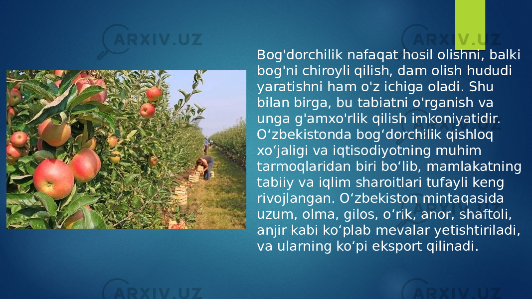 Bog&#39;dorchilik nafaqat hosil olishni, balki bog&#39;ni chiroyli qilish, dam olish hududi yaratishni ham o&#39;z ichiga oladi. Shu bilan birga, bu tabiatni o&#39;rganish va unga g&#39;amxo&#39;rlik qilish imkoniyatidir. O‘zbekistonda bog‘dorchilik qishloq xo‘jaligi va iqtisodiyotning muhim tarmoqlaridan biri bo‘lib, mamlakatning tabiiy va iqlim sharoitlari tufayli keng rivojlangan. O‘zbekiston mintaqasida uzum, olma, gilos, o‘rik, anor, shaftoli, anjir kabi ko‘plab mevalar yetishtiriladi, va ularning ko‘pi eksport qilinadi. 