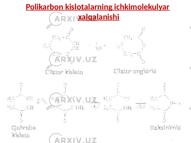 Polikarbon kislotalarning ichkimolekulyar xalqalanishi О О С С СН 2 ОН СН 2 NH СН 2 ОН СН 2 С С О ONH 3 О СН 2  СООН СН 2  С СН 2 СН 2 О СН 2  СООН СН 2  С О t o - Н 2 О Глутар кислота Глутар ангидрид Qahrabo kislota SuksinimidGlutar kislota Glutar angidrid 