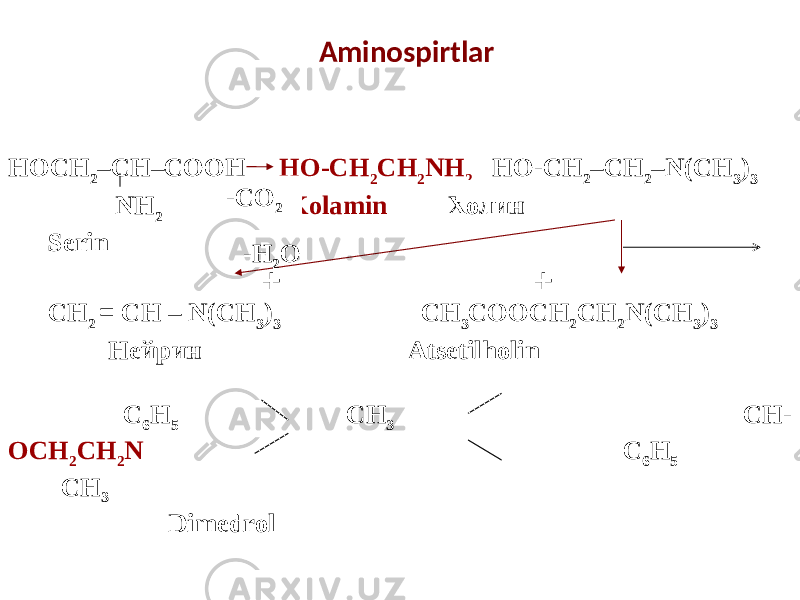 Aminospirtlar + НОСН 2 –СН–СООН НО-СН 2 СН 2 NH 2 НО-СН 2 –СН 2 –N(СН 3 ) 3 NH 2 Kolamin Холин Serin + + СН 2 = СН – N(СН 3 ) 3 СН 3 СООСН 2 СН 2 N(СН 3 ) 3 Нейрин Atsetilholin С 6 Н 5 СН 3 СН- ОСН 2 СН 2 N С 6 Н 5 СН 3 Dimedrol -СО 2 -Н 2 О 