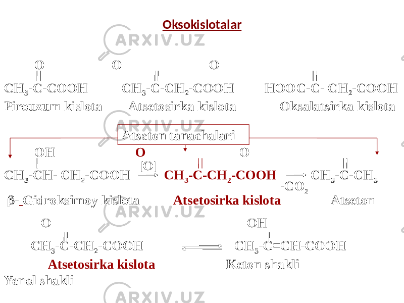 Oksokislotalar О О О СН 3 -С-СООН СН 3 -С-СН 2 -СООН НООС-С- СН 2 -СООН Pirouzum kislota Atsetosirka kislota Oksalatsirka kislota ОН О О СН 3 -СН- СН 2 -СООН СН 3 -С-СН 2 -СООН СН 3 -С-СН 3  - Gidroksimoy kislota Atsetosirka kislota Atseton О ОН СН 3 -С-СН 2 -СООН СН 3 -С=СН-СООН Atsetosirka kislota Keton shakli Yenol shakli [O] -CO 2Atseton tanachalari 