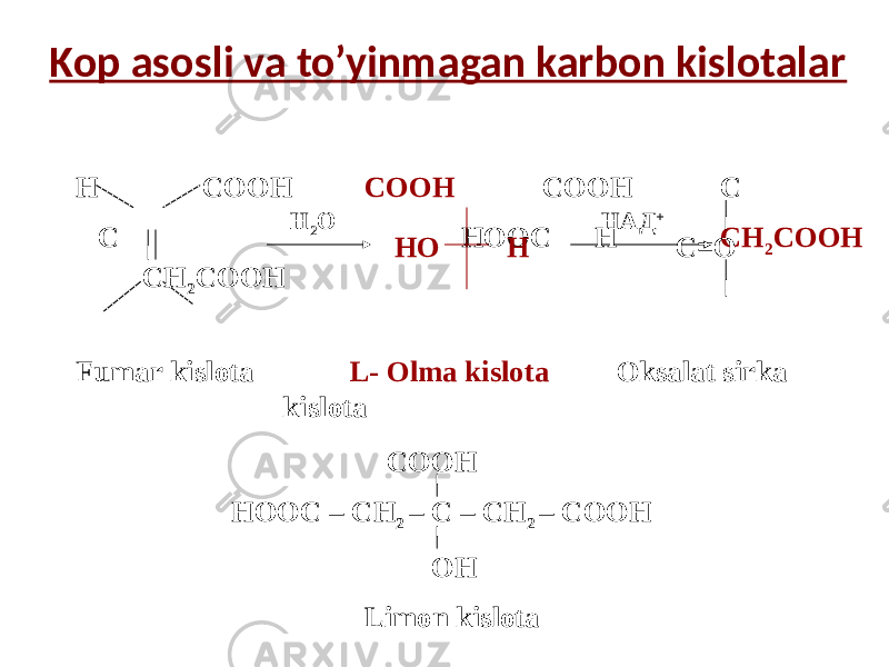 Kop asosli va to’yinmagan karbon kislotalar Н СООН СООН СООН С С НООС Н СН 2 СООН СН 2 СООН НО Н С=О Fumar kislota L- Olma kislota Oksalat sirka kislota СООН НООС – СН 2 – С – СН 2 – СООН ОН Limon kislotaН 2 О НАД + 