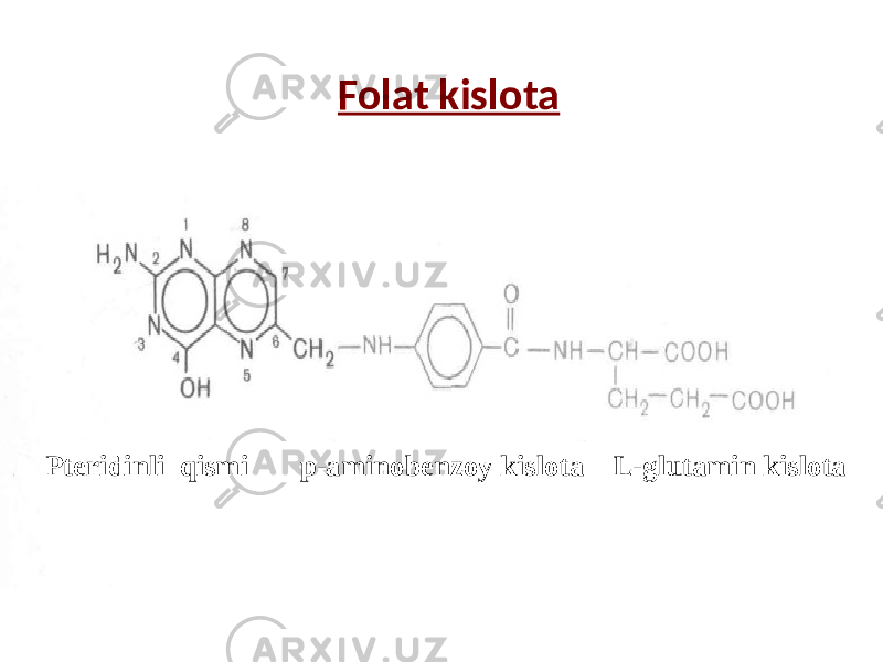 Folat kislota Птеридинли кисми n-Аминобензой к-та L-глутамин к-та Pteridinli qismi p-aminobenzoy kislota L-glutamin kislota 