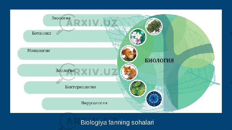 Biologiya fanning sohalari 