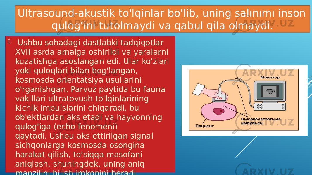 Ultrasound-akustik to&#39;lqinlar bo&#39;lib, uning salınımı inson qulog&#39;ini tutolmaydi va qabul qila olmaydi.    Ushbu sohadagi dastlabki tadqiqotlar XVII asrda amalga oshirildi va yaralarni kuzatishga asoslangan edi. Ular ko&#39;zlari yoki quloqlari bilan bog&#39;langan, kosmosda orientatsiya usullarini o&#39;rganishgan. Parvoz paytida bu fauna vakillari ultratovush to&#39;lqinlarining kichik impulslarini chiqaradi, bu ob&#39;ektlardan aks etadi va hayvonning qulog&#39;iga (echo fenomeni) qaytadi. Ushbu aks ettirilgan signal sichqonlarga kosmosda osongina harakat qilish, to&#39;siqqa masofani aniqlash, shuningdek, uning aniq manzilini bilish imkonini beradi. 