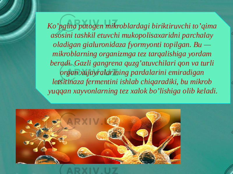 Ko’pgina patogen mikroblardagi biriktiruvchi to’qima asosini tashkil etuvchi mukopolisaxaridni parchalay oladigan gialuronidaza fyormyonti topilgan. Bu — mikroblarning organizmga tez tarqalishiga yordam beradi. Gazli gangrena quzg’atuvchilari qon va turli organ xujayralarining pardalarini emiradigan letsitinaza fermentini ishlab chiqaradiki, bu mikrob yuqqan xayvonlarning tez xalok bo’lishiga olib keladi. 