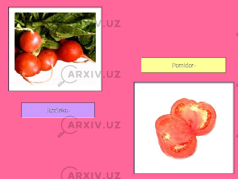 Rediska- Pomidor- 