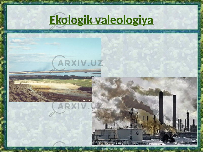 Ekologik valeologiya 