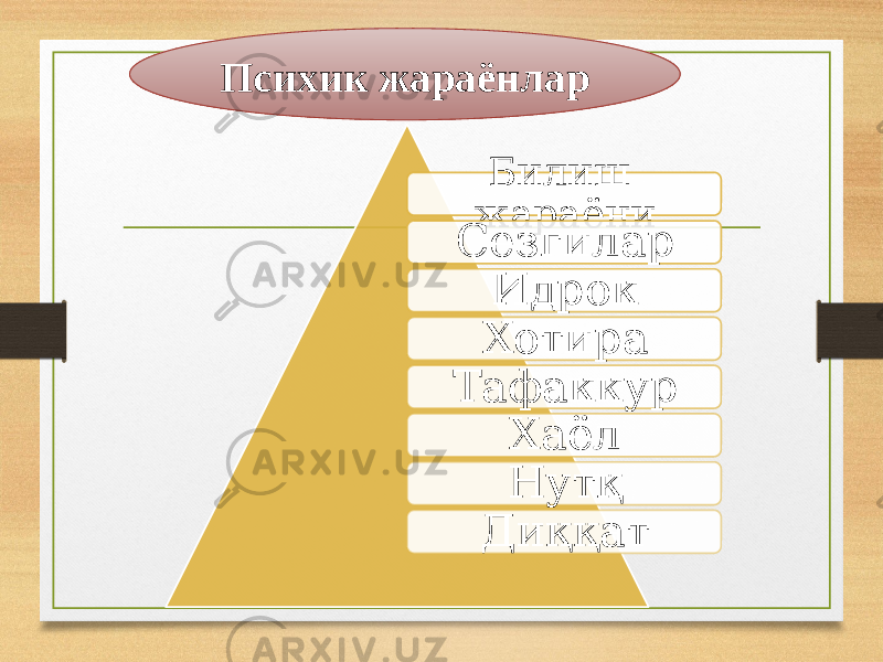 Билиш жараёни Сезгилар Идрок Хотира Тафаккур Хаёл Нутқ Диққат Психик жараёнлар 