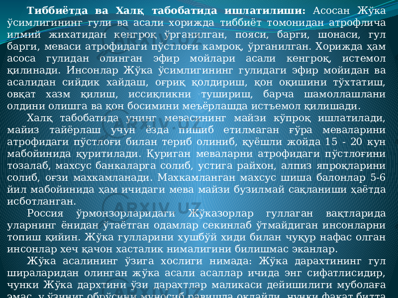 Тиббиётда ва Халқ табобатида ишлатилиши: Асосан Жўка ўсимлигининг гули ва асали хорижда тиббиёт томонидан атрофлича илмий жихатидан кенгроқ ўрганилган, пояси, барги, шонаси, гул барги, меваси атрофидаги пўстлоғи камроқ, ўрганилган. Хорижда ҳам асоса гулидан олинган эфир мойлари асали кенгроқ, истемол қилинади. Инсонлар Жўка ўсимлигининг гулидаги эфир мойидан ва асалидан сийдик хайдаш, оғриқ қолдириш, қон оқишини тўхтатиш, овқат хазм қилиш, иссиқликни тушириш, барча шамоллашлани олдини олишга ва қон босимини меъёрлашда истъемол қилишади. Халқ табобатида унинг мевасининг майзи кўпроқ ишлатилади, майиз тайёрлаш учун ёзда пишиб етилмаган ғўра меваларини атрофидаги пўстлоғи билан териб олиниб, қуёшли жойда 15 - 20 кун мабойинида қуритилади. Қуриган меваларни атрофидаги пўстлоғини тозалаб, махсус банкаларга солиб, устига райхон, алпиз япроқларини солиб, оғзи махкамланади. Махкамланган махсус шиша балонлар 5-6 йил мабойинида ҳам ичидаги мева майзи бузилмай сақланиши ҳаётда исботланган. Россия ўрмонзорларидаги Жўказорлар гуллаган вақтларида уларнинг ёнидан ўтаётган одамлар секинлаб ўтмайдиган инсонларни топиш қийин. Жўка гулларини хушбўй хиди билан чуқур нафас олган инсонлар хеч қачон хасталик нималигини билишмас эканлар. Жўка асалининг ўзига хослиги нимада: Жўка дарахтининг гул шираларидан олинган жўка асали асаллар ичида энг сифатлисидир, чунки Жўка дархтини ўзи дарахтлар маликаси дейишилиги муболаға эмас, у ўзиниг обрўсини муносиб равишда оқлайди, чунки фақат битта дарахтдан 16 - 20 килограмгача қимматли асал олишингиз мумкун. 