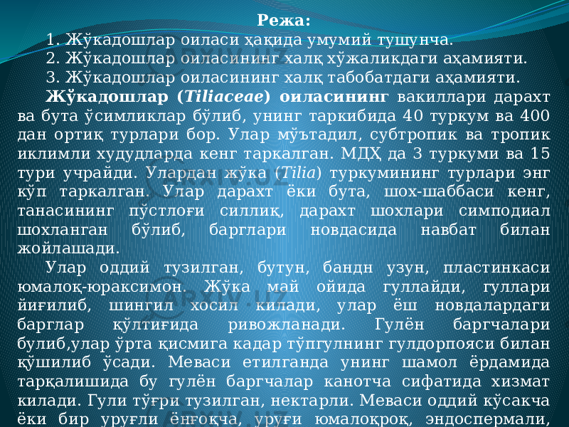 Режа: 1. Жўкадошлар оиласи ҳақида умумий тушунча. 2. Жўкадошлар оиласининг халқ хўжаликдаги аҳамияти. 3. Жўкадошлар оиласининг халқ табобатдаги аҳамияти. Жўкадошлар ( Tiliaceae ) оиласининг вакиллари дарахт ва бута ўсимликлар бўлиб, унинг таркибида 40 туркум ва 400 дан ортиқ турлари бор. Улар мўътадил, субтропик ва тропик иклимли худудларда кенг таркалган. МДҲ да 3 туркуми ва 15 тури учрайди. Улардан жўка ( Tilia ) туркумининг турлари энг кўп таркалган. Улар дарахт ёки бута, шох-шаббаси кенг, танасининг пўстлоғи силлиқ, дарахт шохлари симподиал шохланган бўлиб, барглари новдасида навбат билан жойлашади. Улар оддий тузилган, бутун, бандн узун, пластинкаси юмалоқ-юраксимон. Жўка май ойида гуллайди, гуллари йиғилиб, шингил хосил килади, улар ёш новдалардаги барглар қўлтиғида ривожланади. Гулён баргчалари булиб,улар ўрта қисмига кадар тўпгулнинг гулдорпояси билан қўшилиб ўсади. Меваси етилганда унинг шамол ёрдамида тарқалишида бу гулён баргчалар канотча сифатида хизмат килади. Гули тўғри тузилган, нектарли. Меваси оддий кўсакча ёки бир уруғли ёнғоқча, уруғи юмалоқроқ, эндоспермали, таркибида мой бор. Жўка тўнкасидан кўкаради, пархиш йўли билан хам кўпаяди. Ёғочи оқиш, енгил, пишиқ, ўзаксиз. У мебель ва турли дурадгорлик нарсалар ясашда ишлатилади. 