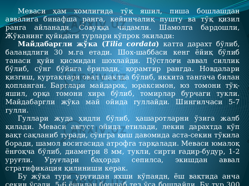 Меваси ҳам хомлигида тўқ яшил, пиша бошлашдан аввалига бинафша ранга, кейинчалиқ пушту ва тўқ қизил ранга айланади. Совуққа чидамли. Шамолга бардошли, Жўканинг қуйидаги турлари кўпрок экилади: Майдабаргли жўка ( Tilia cordata ) катта дарахт бўлиб, баландлиги 30 м.га етади. Шох-шаббаси кенг ёйиқ бўлиб танаси қуйи қисмидан шохлайди. Пўстлоғи аввал силлик бўлиб, сўнг бўйига ёрилади, қорамтир рангда. Новдалари қизгиш, куртаклари овал шаклда бўлиб, иккита тангача билан қопланган. Барглари майдарок, юраксимон, юз томони тўқ- яшил, орқа томони хира бўлиб, томирлар бурчаги тукли. Майдабаргли жўка май ойида гуллайди. Шингилчаси 5-7 гулли. Гуллари жуда ҳидли бўлиб, ҳашаротларни ўзига жалб қилади. Меваси август ойида етилади, лекин дарахтда кўп вақт сақланиб туради, сўнгра қиш давомида аста-секин тўкила боради, шамол воситасида атрофга тарқалади. Меваси юмалоқ ёнғоқча бўлиб, диаметри 8 мм, тукли, сирти ғадир-будур, 1-2 уруғли. Уруғлари баҳорда сепилса, экишдан аввал стратификация қилиниши керак. Бу жўка тури уруғидан яхши кўпаядн, ёш вақтида анча секин ўсади, 5-6 ёшидан бошлаб тез ўса бошлайди. Бу тур 300 - 400 йил яшайди. Илдиз тизими бакувват бўлиб, ерга чуқур ўсиб киради, сершох ўқилдизи бор. Унумдор ерда яхши ўсади, шўртоб ерда ўсмайди. 