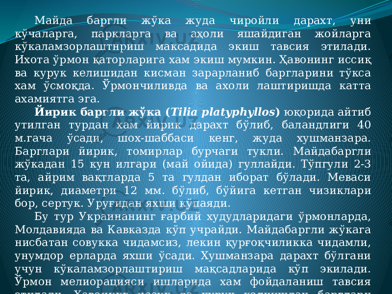 Майда баргли жўка жуда чиройли дарахт, уни кўчаларга, паркларга ва аҳоли яшайдиган жойларга кўкаламзорлаштнриш максадида экиш тавсия этилади. Ихота ўрмон қаторларига хам экиш мумкин. Ҳавонинг иссиқ ва курук келишидан кисман зарарланиб баргларини тўкса хам ўсмоқда. Ўрмончиливда ва ахоли лаштиришда катта ахамиятга эга. Йирик баргли жўка ( Tilia platyphyllos ) юқорида айтиб утилган турдан хам йирик дарахт бўлиб, баландлиги 40 м . гача ўсади, шох-шаббаси кенг, жуда хушманзара. Барглари йирик, томирлар бурчаги тукли. Майдабаргли жўкадан 15 кун илгари (май ойида) гуллайди. Тўпгули 2-3 та, айрим вақтларда 5 та гулдан иборат бўлади. Меваси йирик, диаметри 12 мм. бўлиб, бўйига кетган чизиклари бор, сертук. Уруғидан яхши кўпаяди. Бу тур Украинанинг ғарбий худудларидаги ўрмонларда, Молдавияда ва Кавказда кўп учрайди. Майдабаргли жўкага нисбатан совукка чидамсиз, лекин қурғоқчиликка чидамли, унумдор ерларда яхши ўсади. Хушманзара дарахт бўлгани учун кўкаламзорлаштириш мақсадларида кўп экилади. Ўрмон мелиорацияси ишларида хам фойдаланиш тавсия этиладн. Ҳавонннг иссик ва қуруқ келишидан барглари сарғайиб, тўкилиб кетади ва кейинчалик улар ўрнида янги барглар чиқаради. 