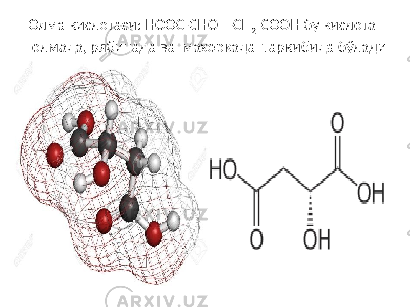  Олма кислотаси: HOOC-CHOH-CH 2 -COOH бy кислота олмада, рябинада ва махоркада таркибида бўлади 