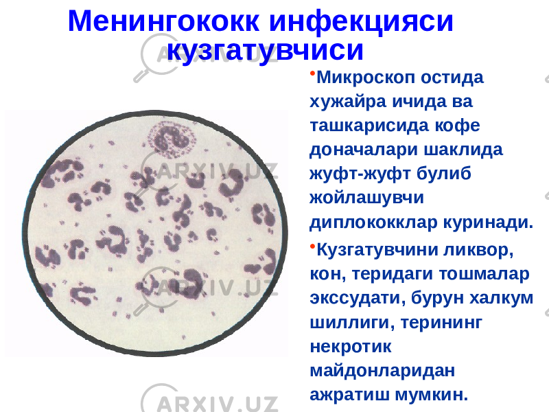 Менингококк инфекцияси кузгатувчиси • Микроскоп остида хужайра ичида ва ташкарисида кофе доначалари шаклида жуфт-жуфт булиб жойлашувчи диплококклар куринади. • Кузгатувчини ликвор, кон, теридаги тошмалар экссудати, бурун халкум шиллиги, терининг некротик майдонларидан ажратиш мумкин. 