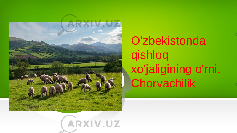 O&#39;zbekistonda qishloq xo&#39;jaligining o&#39;rni. Chorvachilik 