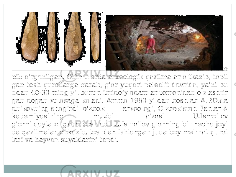 Selung&#39;ur g&#39;ori 1958 yili akademik A.P.Okladnikov tomonidan to pib o&#39;rganilgan. Olim u erda arxeologik qazilmalar o&#39;tkazib, topil gan tosh qurollarga qarab, g&#39;or yuqori paleolit davrida, ya&#39;ni bu ndan 40-30 ming yil burun ibtidoiy odamlar tomonidan o&#39;zlashtir gan degan xulosaga keladi. Ammo 1980 yildan boshlab A.P.Okla dnikovning shogirdi, o&#39;zbek arxeologi, O&#39;zbekiston Fanlar A kademiyasining muxbir a&#39;zosi U.Ismoilov g&#39;orni qayta o&#39;rgana boshladi. U.Ismoilov g&#39;orning bir necha joyi da qazilmalar o&#39;tkazib, toshdan ishlangan juda boy mehnat qurol lari va hayvon suyaklarini topdi. 