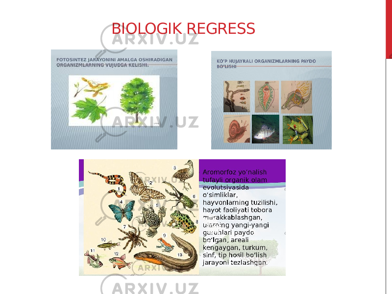 BIOLOGIK REGRESS 