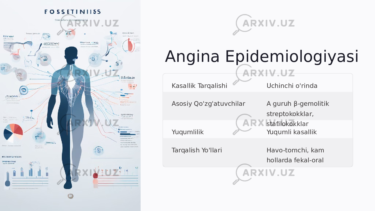 Angina Epidemiologiyasi Kasallik Tarqalishi Uchinchi o&#39;rinda Asosiy Qo&#39;zg&#39;atuvchilar A guruh β-gemolitik streptokokklar, stafilokokklar Yuqumlilik Yuqumli kasallik Tarqalish Yo&#39;llari Havo-tomchi, kam hollarda fekal-oral 