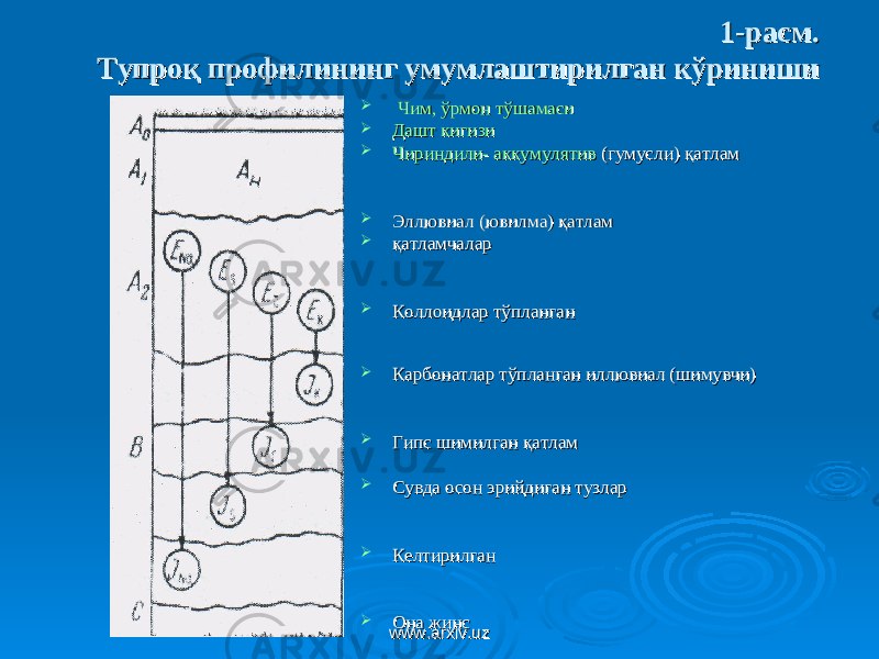 1-расм.1-расм. Тупроқ профилининг умумлаштирилган кўринишиТупроқ профилининг умумлаштирилган кўриниши  Чим, ўрмон тўшамасиЧим, ўрмон тўшамаси  Дашт кигизиДашт кигизи  Чириндили- аккумулятивЧириндили- аккумулятив (гумусли) қатлам(гумусли) қатлам  Эллювиал (ювилма) қатламЭллювиал (ювилма) қатлам  қатламчаларқатламчалар  Коллоидлар тўпланган Коллоидлар тўпланган  Карбонатлар тўпланган иллювиал (шимувчи) Карбонатлар тўпланган иллювиал (шимувчи)  Гипс шимилганГипс шимилган қатламқатлам  Сувда осон эрийдиган тузларСувда осон эрийдиган тузлар  КелтирилганКелтирилган  Она жинс Она жинс www.arxiv.uzwww.arxiv.uz 