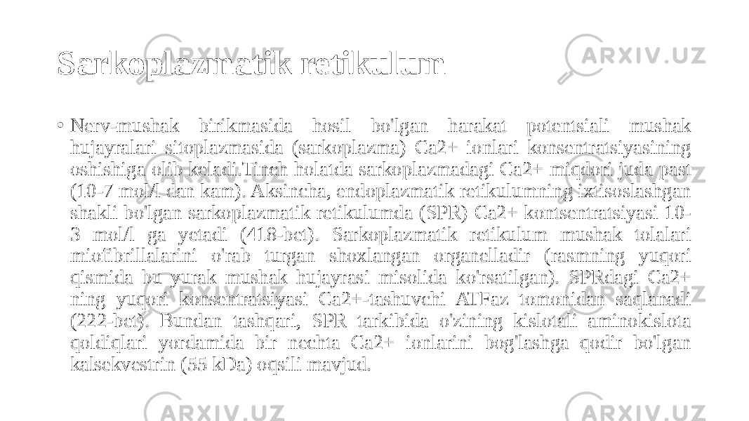 Sarkoplazmatik retikulum • Nerv-mushak birikmasida hosil bo&#39;lgan harakat potentsiali mushak hujayralari sitoplazmasida (sarkoplazma) Ca2+ ionlari konsentratsiyasining oshishiga olib keladi.Tinch holatda sarkoplazmadagi Ca2+ miqdori juda past (10-7 mol/l dan kam). Aksincha, endoplazmatik retikulumning ixtisoslashgan shakli bo&#39;lgan sarkoplazmatik retikulumda (SPR) Ca2+ kontsentratsiyasi 10- 3 mol/l ga yetadi (418-bet). Sarkoplazmatik retikulum mushak tolalari miofibrillalarini o&#39;rab turgan shoxlangan organelladir (rasmning yuqori qismida bu yurak mushak hujayrasi misolida ko&#39;rsatilgan). SPRdagi Ca2+ ning yuqori konsentratsiyasi Ca2+-tashuvchi ATFaz tomonidan saqlanadi (222-bet). Bundan tashqari, SPR tarkibida o&#39;zining kislotali aminokislota qoldiqlari yordamida bir nechta Ca2+ ionlarini bog&#39;lashga qodir bo&#39;lgan kalsekvestrin (55 kDa) oqsili mavjud. 