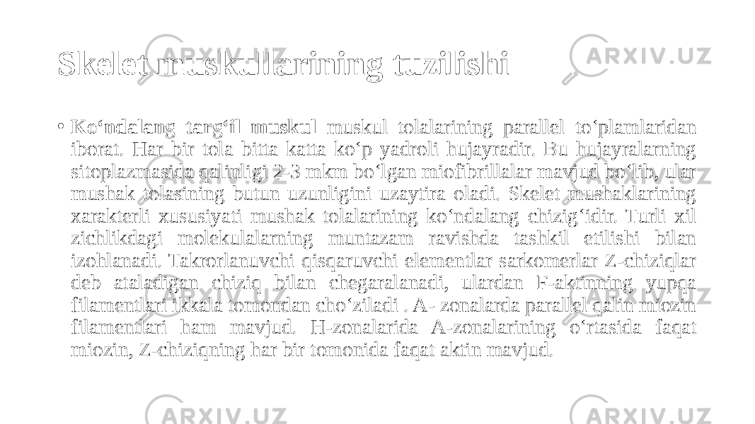 Skelet muskullarining tuzilishi • Ko‘ndalang targ‘il muskul muskul tolalarining parallel to‘plamlaridan iborat. Har bir tola bitta katta ko‘p yadroli hujayradir. Bu hujayralarning sitoplazmasida qalinligi 2-3 mkm bo‘lgan miofibrillalar mavjud bo‘lib, ular mushak tolasining butun uzunligini uzaytira oladi. Skelet mushaklarining xarakterli xususiyati mushak tolalarining ko‘ndalang chizig‘idir. Turli xil zichlikdagi molekulalarning muntazam ravishda tashkil etilishi bilan izohlanadi. Takrorlanuvchi qisqaruvchi elementlar sarkomerlar Z-chiziqlar deb ataladigan chiziq bilan chegaralanadi, ulardan F-aktinning yupqa filamentlari ikkala tomondan cho‘ziladi . A- zonalarda parallel qalin miozin filamentlari ham mavjud. H-zonalarida A-zonalarining o‘rtasida faqat miozin, Z-chiziqning har bir tomonida faqat aktin mavjud. 