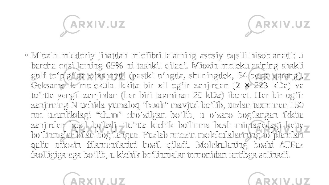• Miozin miqdoriy jihatdan miofibrillalarning asosiy oqsili hisoblanadi: u barcha oqsillarning 65% ni tashkil qiladi. Miozin molekulasining shakli golf to‘pig‘iga o‘xshaydi (pastki o‘ngda, shuningdek, 64-betga qarang). Geksamerik molekula ikkita bir xil og‘ir zanjirdan (2 × 223 kDa) va to‘rtta yengil zanjirdan (har biri taxminan 20 kDa) iborat. Har bir og‘ir zanjirning N-uchida yumaloq &#34; bosh &#34; mavjud bo‘lib, undan taxminan 150 nm uzunlikdagi “ dum &#34; cho‘zilgan bo‘lib, u o‘zaro bog&#39;langan ikkita zanjirdan hosil bo&#39;ladi. To&#39;rtta kichik bo&#39;linma bosh mintaqadagi katta bo‘linmalar bilan bog‘langan. Yuzlab miozin molekulalarining to‘plamlari qalin miozin filamentlarini hosil qiladi. Molekulaning boshi ATFaz faolligiga ega bo‘lib, u kichik bo‘linmalar tomonidan tartibga solinadi. 
