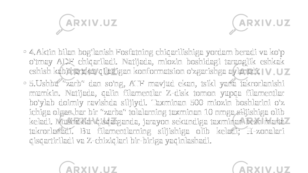• 4.Aktin bilan bog&#39;lanish Fosfatning chiqarilishiga yordam beradi va ko&#39;p o&#39;tmay ADF chiqariladi. Natijada, miozin boshidagi taranglik eshkak eshish kabi harakat qiladigan konformatsion o&#39;zgarishga aylanadi. • 5.Ushbu &#34;zarb&#34; dan so&#39;ng, ATF mavjud ekan, tsikl yana takrorlanishi mumkin. Natijada, qalin filamentlar Z-disk tomon yupqa filamentlar bo&#39;ylab doimiy ravishda siljiydi. Taxminan 500 miozin boshlarini o&#39;z ichiga olgan har bir &#34;zarba&#34; tolalarning taxminan 10 nmga siljishiga olib keladi. Mushaklar qisqarganda, jarayon sekundiga taxminan besh marta takrorlanadi. Bu filamentlarning siljishiga olib keladi; H-zonalari qisqartiriladi va Z-chiziqlari bir-biriga yaqinlashadi. 