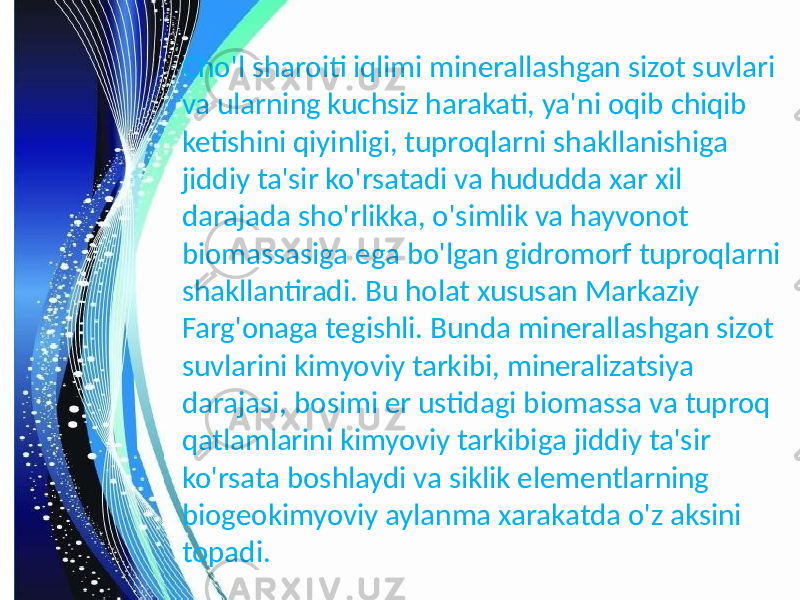 Cho&#39;l sharoiti iqlimi minerallashgan sizot suvlari va ularning kuchsiz harakati, ya&#39;ni oqib chiqib ketishini qiyinligi, tuproqlarni shakllanishiga jiddiy ta&#39;sir ko&#39;rsatadi va hududda xar xil darajada sho&#39;rlikka, o&#39;simlik va hayvonot biomassasiga ega bo&#39;lgan gidromorf tuproqlarni shakllantiradi. Bu holat xususan Markaziy Farg&#39;onaga tegishli. Bunda minerallashgan sizot suvlarini kimyoviy tarkibi, mineralizatsiya darajasi, bosimi er ustidagi biomassa va tuproq qatlamlarini kimyoviy tarkibiga jiddiy ta&#39;sir ko&#39;rsata boshlaydi va siklik elementlarning biogeokimyoviy aylanma xarakatda o&#39;z aksini topadi. 