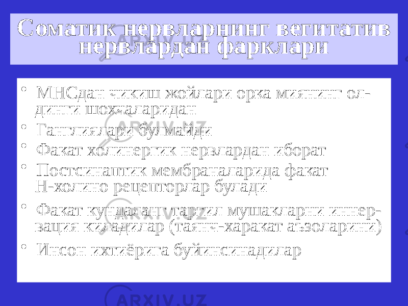 Соматик нервларнинг вегитатив нервлардан фарклари • МНСдан чикиш жойлари орка миянинг ол- динги шохчаларидан • Ганглиялари булмайди • Факат холинергик нервлардан иборат • Постсинаптик мембраналарида факат Н-холино рецепторлар булади • Факат кундаланг таргил мушакларни иннер- вация киладилар (таянч-харакат аъзоларини) • Инсон ихтиёрига буйинсинадилар 