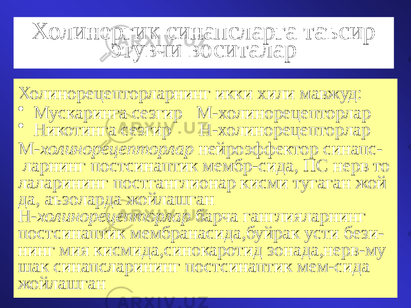 Холинергик синапсларга таъсир этувчи воситалар Холинорецепторларнинг икки хили мавжуд: • Мускаринга сезгир М-холинорецепторлар • Никотинга сезгир Н-холинорецепторлар М- холинорецепторлар нейроэффектор синапс- ларнинг постсинаптик мембр-сида, ПС нерв то лаларининг постганглионар кисми тугаган жой да, аъзоларда жойлашган Н- холинорецепторлар барча ганглияларнинг постсинаптик мембранасида,буйрак усти бези- нинг мия кисмида,синокаротид зонада,нерв-му шак синапсларининг постсинаптик мем-сида жойлашган 