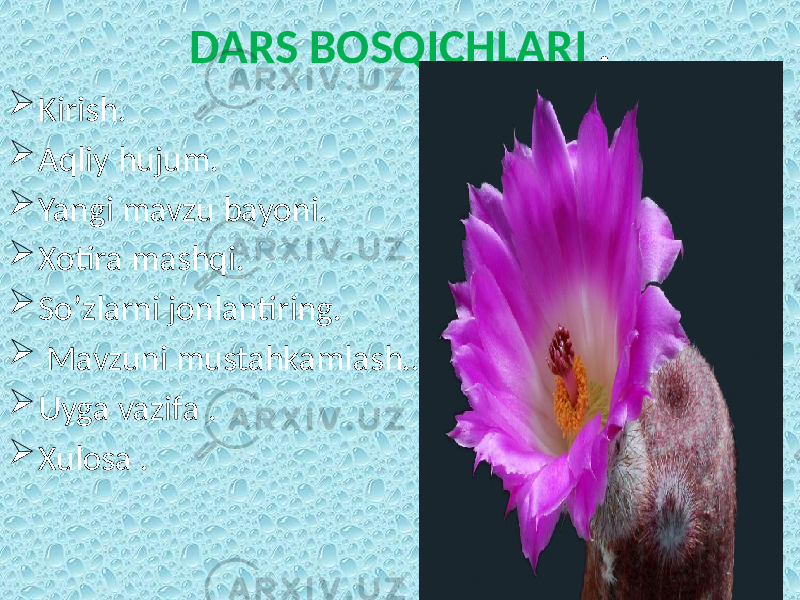 DARS BOSQICHLARI .  Kirish.  Aqliy hujum.  Yangi mavzu bayoni.  Xotira mashqi.  So’zlarni jonlantiring.  Mavzuni mustahkamlash..  Uyga vazifa .  Xulosa . 