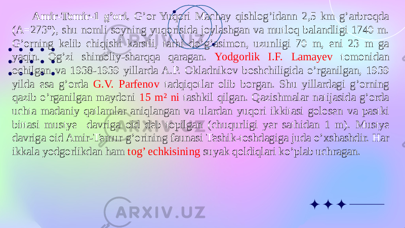 Amir-Temir-1 g’ori. G’or Yuqori Machay qishlog’idann 2,5 km g’arbroqda (A=273°), shu nomli soyning yuqorisida joylashgan va mutloq balandligi 1740 m. G’orning kelib chiqishi karstli, tarhi do’g’asimon, uzunligi 70 m, eni 23 m ga yaqin. Og’zi shimoliy-sharqqa qaragan. Yodgorlik I.F. Lamayev tomonidan ochilgan va 1938-1939 yillarda A.P. Okladnikov boshchiligida o’rganilgan, 1939 yilda esa g’orda G.V. Parfenov tadqiqotlar olib borgan. Shu yillardagi g’orning qazib o’rganilgan maydoni 15 m² ni tashkil qilgan. Qazishmalar natijasida g’orda uchta madaniy qatlamlar aniqlangan va ulardan yuqori ikkitasi golosen va pastki bittasi mustye davriga oid deb topilgan (chuqurligi yer sathidan 1 m). Mustye davriga oid Amir-Temur g’orining faunasi Teshik-toshdagiga juda o’xshashdir. Har ikkala yodgorlikdan ham tog’ echkisining suyak qoldiqlari ko’plab uchragan. 