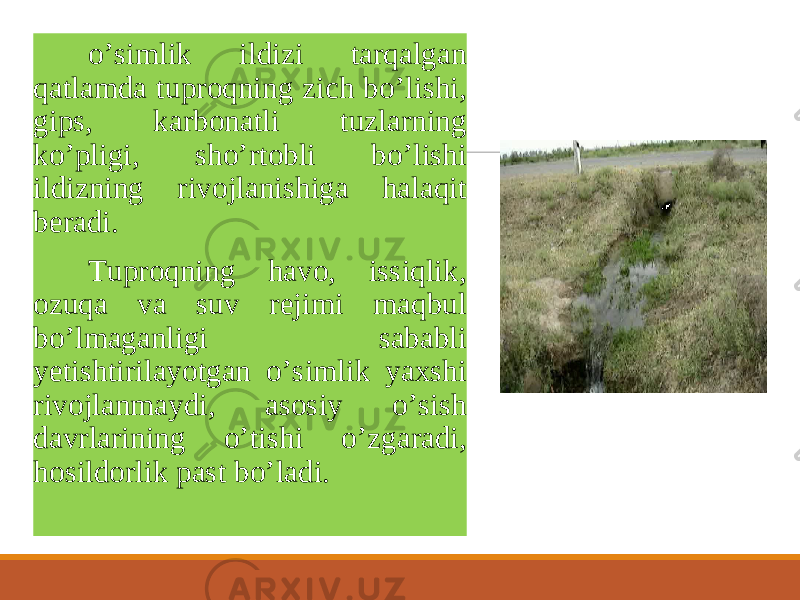 o ’ simlik ildizi tarqalgan qatlamda tuproqning zich bo ’ lishi, gips, karbonatli tuzlarning ko ’ pligi, sho ’ rtobli bo ’ lishi ildizning rivojlanishiga halaqit beradi. Tuproqning havo, issiqlik, ozuqa va suv rejimi maqbul bo ’ lmaganligi sababli yetishtirilayotgan o ’ simlik yaxshi rivojlanmaydi, asosiy o ’ sish davrlarining o ’ tishi o ’ zgaradi, hosildorlik past bo ’ ladi. 