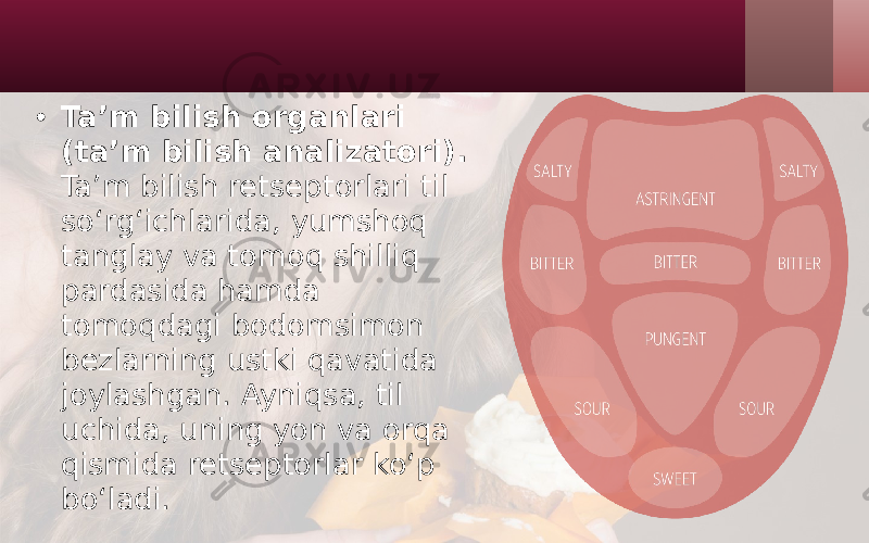 • Ta’m bilish organlari (ta’m bilish analizatori). Ta’m bilish retseptorlari til so‘rg‘ichlarida, yumshoq tanglay va tomoq shilliq pardasida hamda tomoqdagi bodomsimon bezlarning ustki qavatida joylashgan. Ayniqsa, til uchida, uning yon va orqa qismida retseptorlar ko‘p bo‘ladi. 