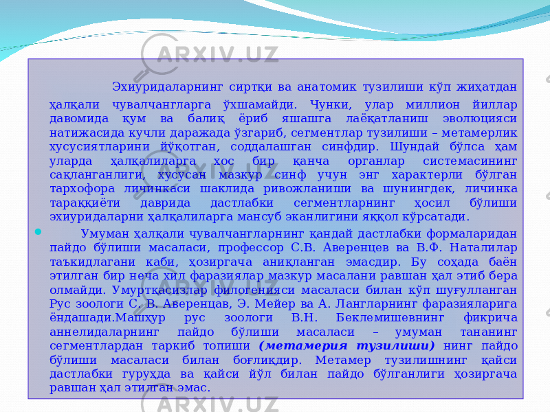  Эхиуридаларнинг сиртқи ва анатомик тузилиши кўп жиҳатдан ҳалқали чувалчангларга ўхшамайди. Чунки, улар миллион йиллар давомида қум ва балиқ ёриб яшашга лаёқатланиш эволюцияси натижасида кучли даражада ўзгариб, сегментлар тузилиши – метамерлик хусусиятларини йўқотган, соддалашган синфдир. Шундай бўлса ҳам уларда ҳалқалиларга хос бир қанча органлар системасининг сақланганлиги, хусусан мазкур синф учун энг характерли бўлган тархофора личинкаси шаклида ривожланиши ва шунингдек, личинка тараққиёти даврида дастлабки сегментларнинг ҳосил бўлиши эхиуридаларни ҳалқалиларга мансуб эканлигини яққол кўрсатади.  Умуман ҳалқали чувалчангларнинг қандай дастлабки формаларидан пайдо бўлиши масаласи, профессор С.В. Аверенцев ва В.Ф. Наталилар таъкидлагани каби, ҳозиргача аниқланган эмасдир. Бу соҳада баён этилган бир неча хил фаразиялар мазкур масалани равшан ҳал этиб бера олмайди. Умуртқасизлар филогенияси масаласи билан кўп шуғулланган Рус зоологи С. В. Аверенцав, Э. Мейер ва А. Лангларнинг фаразияларига ёндашади.Машҳур рус зоологи В.Н. Беклемишевнинг фикрича аннелидаларнинг пайдо бўлиши масаласи – умуман тананинг сегментлардан таркиб топиши (метамерия тузилиши) нинг пайдо бўлиши масаласи билан боғлиқдир. Метамер тузилишнинг қайси дастлабки гуруҳда ва қайси йўл билан пайдо бўлганлиги ҳозиргача равшан ҳал этилган эмас. 