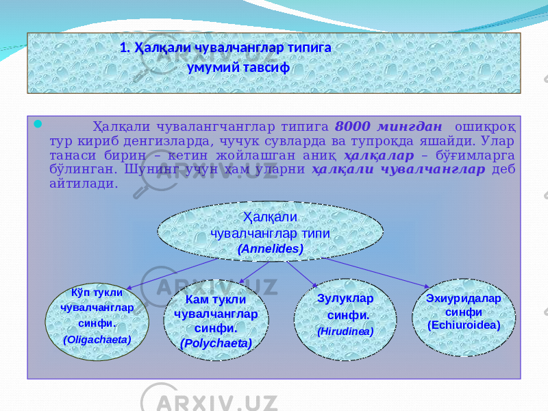  1. Ҳалқали чувалчанглар типига умумий тавсиф  Ҳалқали чувалангчанглар типига 8000 мингдан ошиқроқ тур кириб денгизларда, чучук сувларда ва тупроқда яшайди. Улар танаси бирин – кетин жойлашган аниқ ҳалқалар – бўғимларга бўлинган. Шунинг учун ҳам уларни ҳалқали чувалчанглар деб айтилади. Ҳалқали чувалчанглар типи ( Annelides ) Кўп тукли чувалчанглар синфи. (Oligachaeta) Кам тукли чувалчанглар синфи. (Polychaeta) Зулуклар синфи. (Hirudinea) Эхиуридалар синфи (Echiuroidea) 