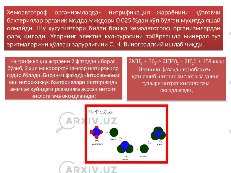 Хемоавтотроф организмлардан нитрификация жараёнини қўзғовчи бактериялар органик модда миқдори 0,025 %дан кўп бўлган муҳитда яшай олмайди. Шу хусусиятлари билан бошқа хемоавтотроф организмлардан фарқ қилади. Уларнинг электив культурасини тайёрлашда минерал туз эритмаларини қўллаш зарурлигини С. Н. Виноградский ишлаб чиқди. 2МН 3 + 30 2 -> 2НИ0 2 + 2Н 2 0 + 158 ккал Иккинчи фазада нитробактер қатнашиб, нитрит кислота ва унинг тузлари нитрат кислотагача оксидланади, Нитрификация жараёни 2 фазадан иборат бўлиб, 2 хил микроорганизмлар иштирокида содир бўлади. Биринчи фазада Нитрозомонас ёки нитрококкус бактериялари иштирокида аммиак қуйидаги реакцияга асосан нитрит кислотагача оксидланади:3B 2E 18 2C 090C 1E38 31 0632 1E 3435 1E 06 1E 270632 390A 0D 13 120A 02 2E 1718 1D 04 03 12 21 