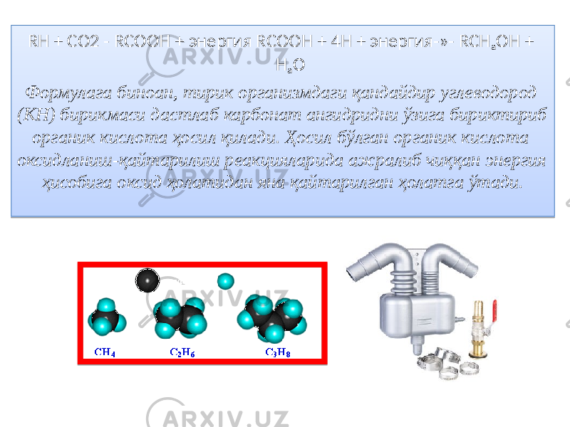 RН + СО2 - RСООН + энергия RСООН + 4Н + энергия-»- RСН а ОН + Н а О Формулага биноан, тирик организмдаги қандайдир углеводород (КН) бирикмаси дастлаб карбонат ангидридни ўзига бириктириб органик кислота ҳосил қилади. Ҳосил бўлган органик кислота оксидланиш-қайтарилиш реакцияларида ажралиб чиққан энергия ҳисобига оксид ҳолатидан яна қайтарилган ҳолатга ўтади.01 12 06 02 12 06 2F 28 0D 0D11 14 