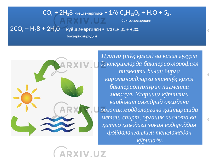 СО, + 2Н 2 8 куёш энергияси - 1/6 С 6 Н 12 0 6 + Н.О + 5 2 , бактериовиридин 2СО г + Н 2 8 + 2Н,0 куёш энергияси » 1/3 С 6 Н 12 0 6 + Н 2 30 4 бактериовиридин Пурпур (тўқ қизил) ва қизил гугурт бактерияларда бактериохлорофилл пигменти билан бирга каротиноидларга яқинтўқ қизил бактериопурпурин пигменти мавжуд. Уларнинг кўпчилиги карбонат ангидрид оксидини органик моддаларгача қайтиришда метан, спирт, органик кислота ва ҳатто ҳаводаги эркин водороддан фойдаланганлиги тенгламадан кўринади.0506 07 19 21 03 33 02 23 16 33 03 07 2F 03 2E12 07 0D 03 07 19 21 1103 233213 33 02 23 16 33 0304 07 1316 10 03 03 03 2E12 