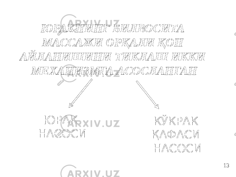 ЮРАКНИНГ БИЛВОСИТА МАССАЖИ ОРҚАЛИ ҚОН АЙЛАНИШИНИ ТИКЛАШ ИККИ МЕХАНИЗМГА АСОСЛАНГАН ЮРАК НАСОСИ КЎКРАК ҚАФАСИ НАСОСИ 13 